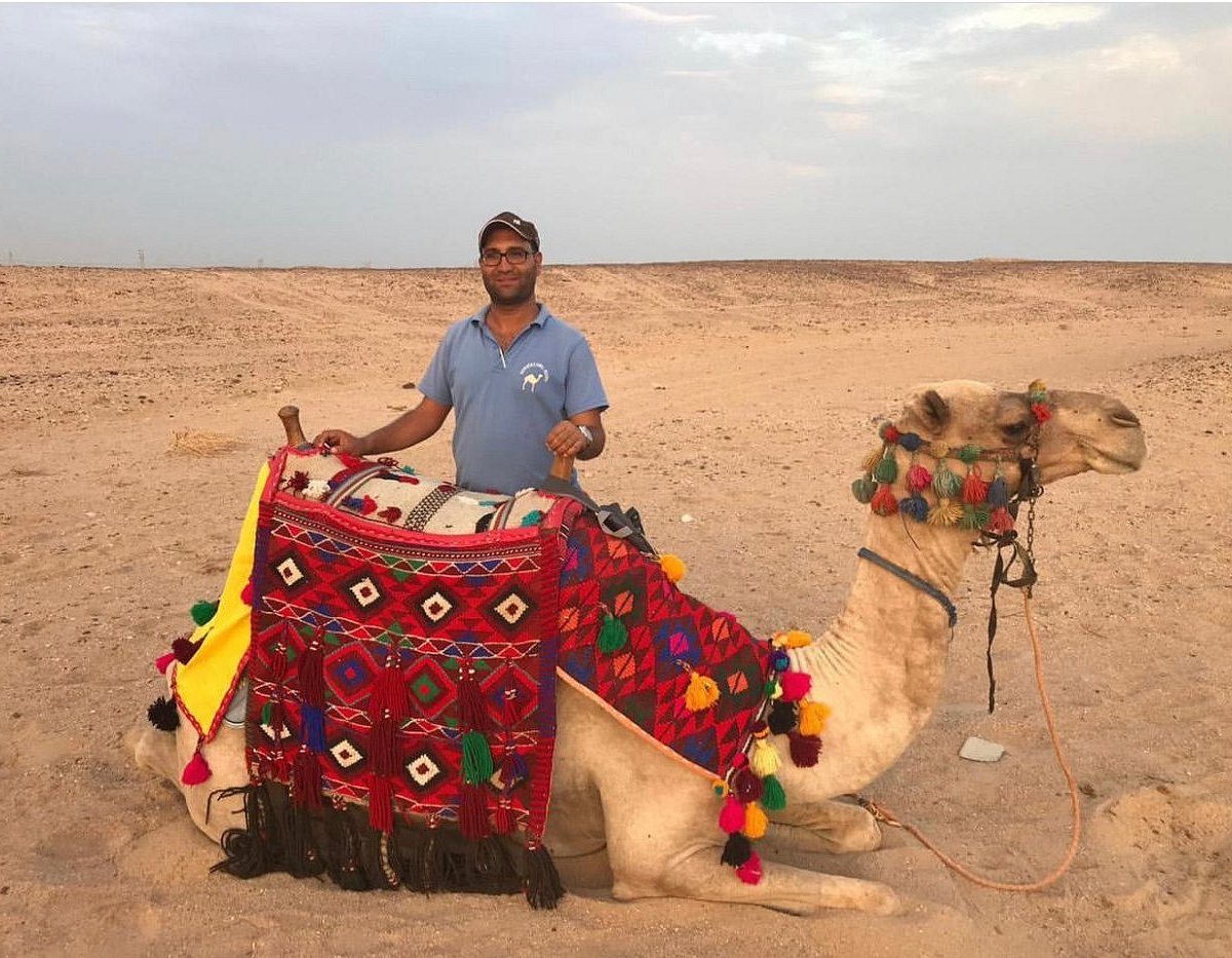 Camel guide in the desert